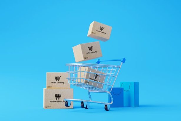 Bruno Rodrigues Quintas