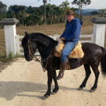Altevir Seidel apresenta a fascinante evolução dos cavalos: de animais selvagens a parceiros indispensáveis da humanidade.