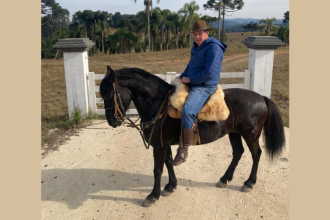 Altevir Seidel apresenta a fascinante evolução dos cavalos: de animais selvagens a parceiros indispensáveis da humanidade.