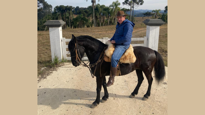 Altevir Seidel apresenta a fascinante evolução dos cavalos: de animais selvagens a parceiros indispensáveis da humanidade.