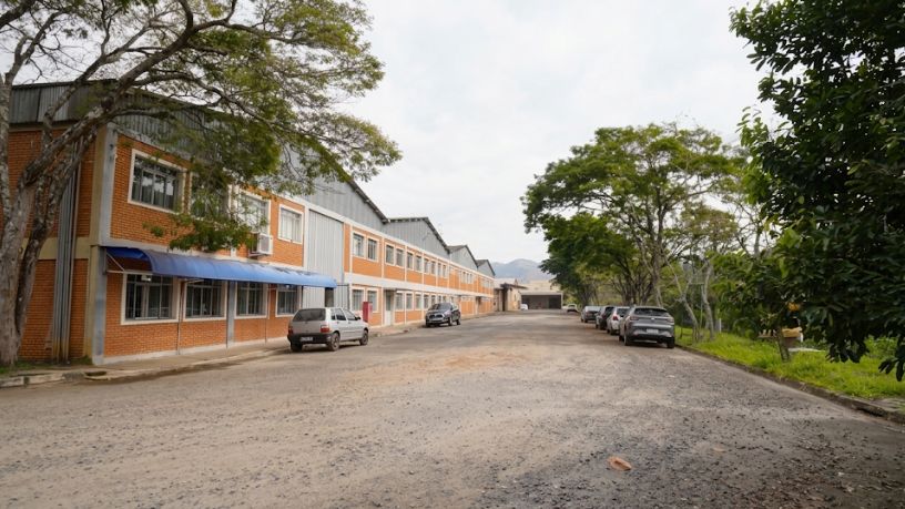 Família Shih