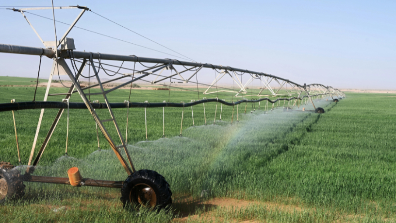 Treinar com realidade aumentada facilita o aprendizado prático no agro, afirma Aldo Vendramin.