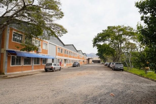 Família Shih